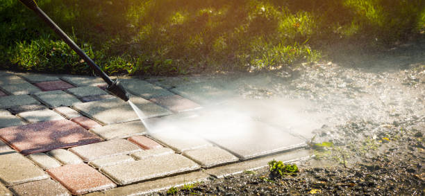 Best Roof Cleaning and Mildew Removal in Fairview, CA